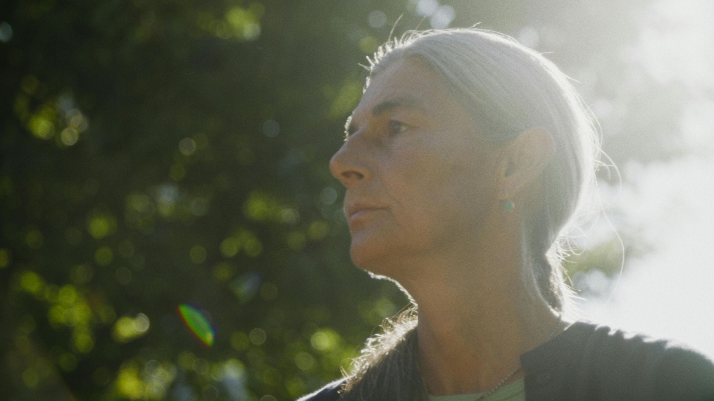 Backlit profile of a silver-haired woman against sunlit green foliage