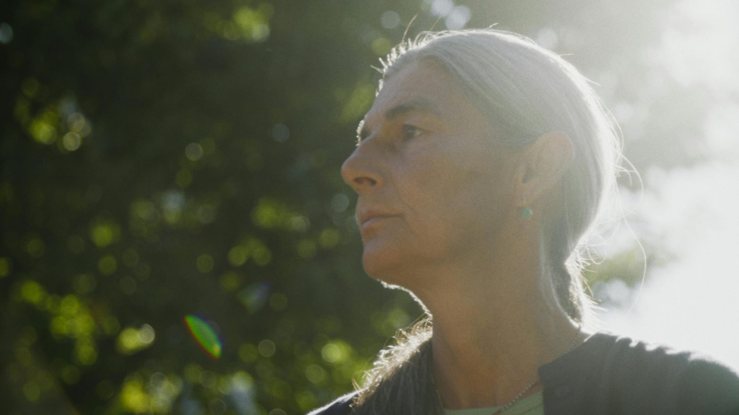 Backlit profile of a silver-haired woman against sunlit green foliage