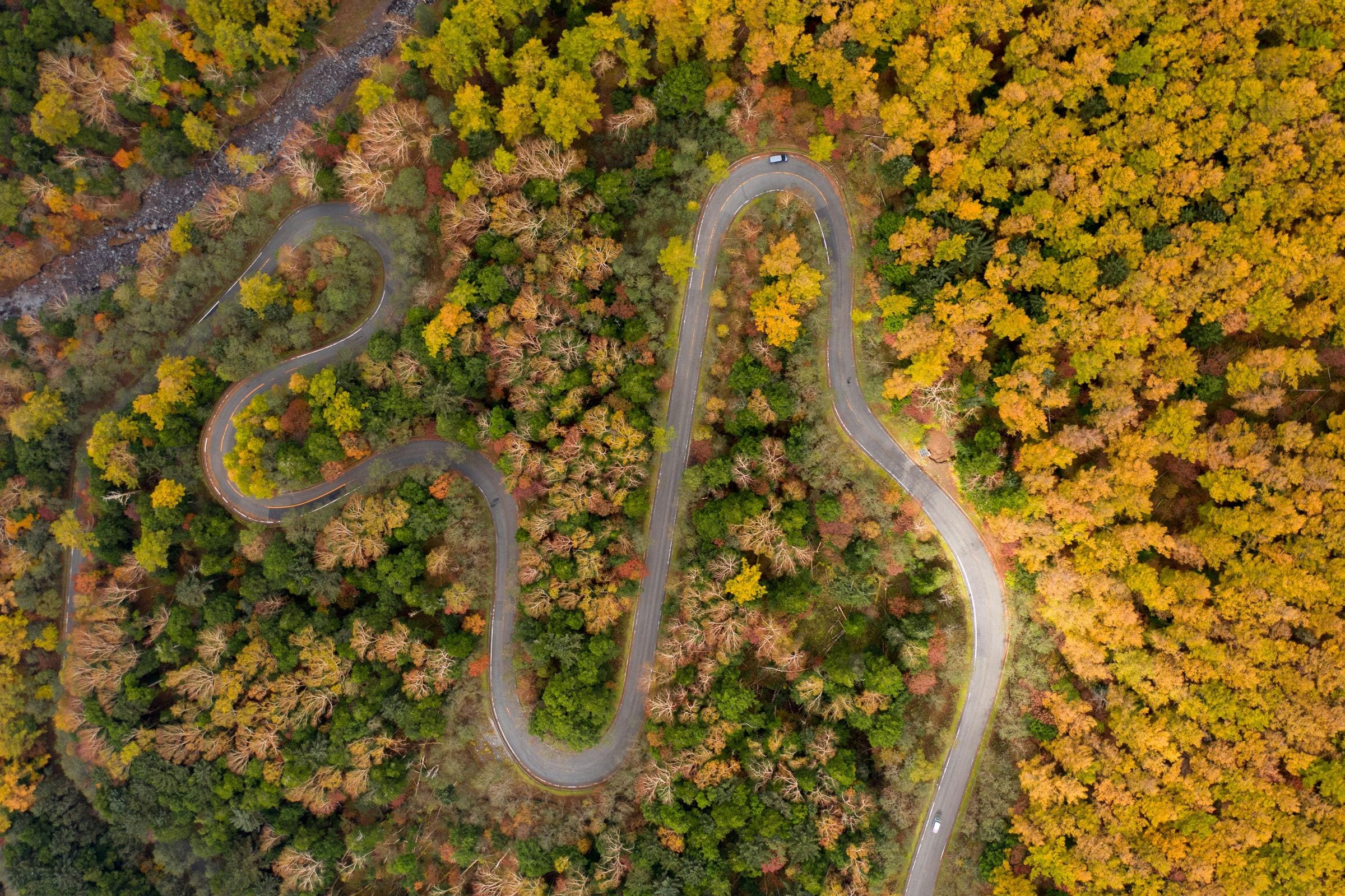 Aerial view of a hairpin road winding through blazing autumn forest