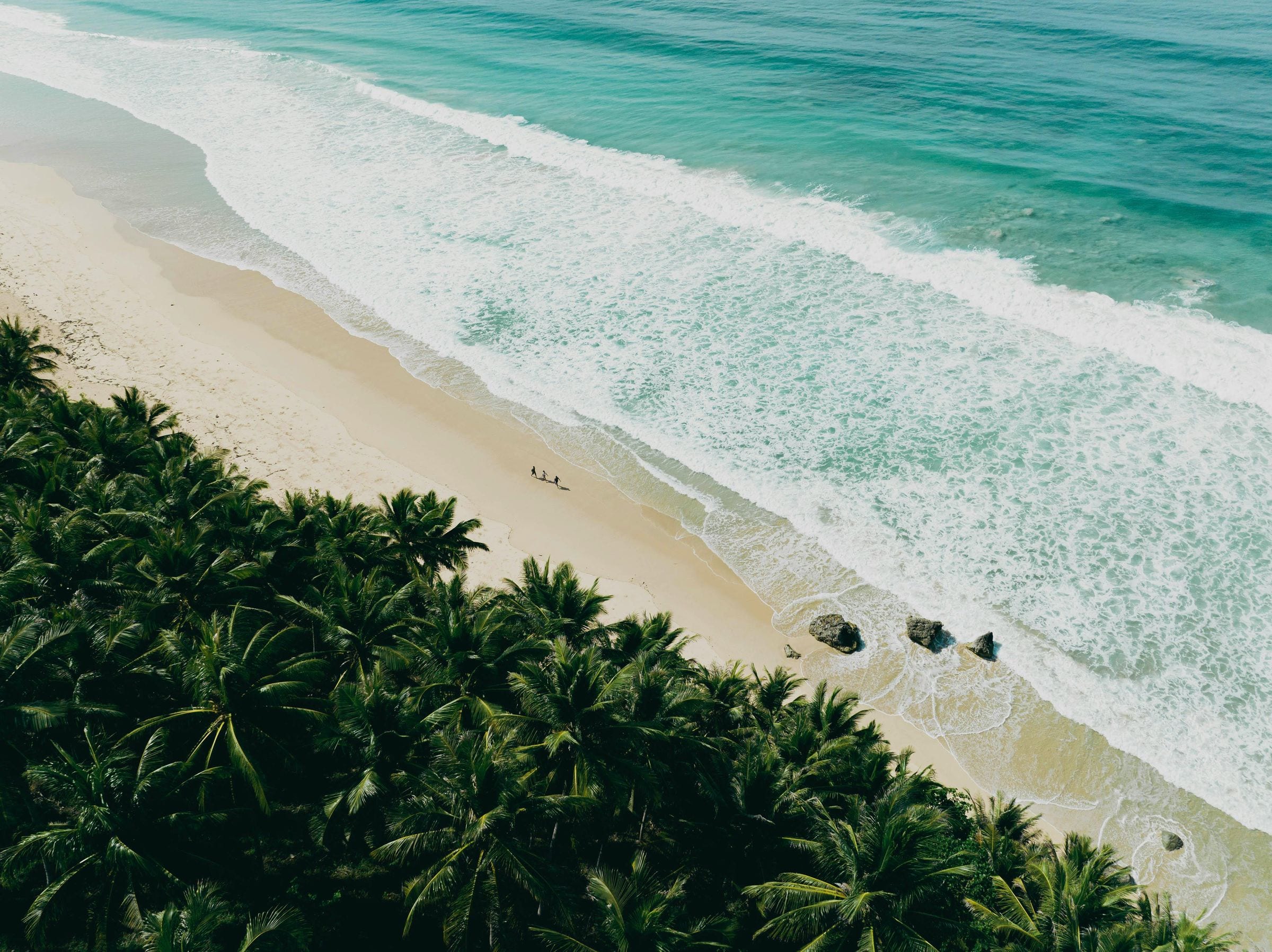 Aerial of turquoise surf rolling onto a palm-fringed Sumba beach with tiny figures walking
