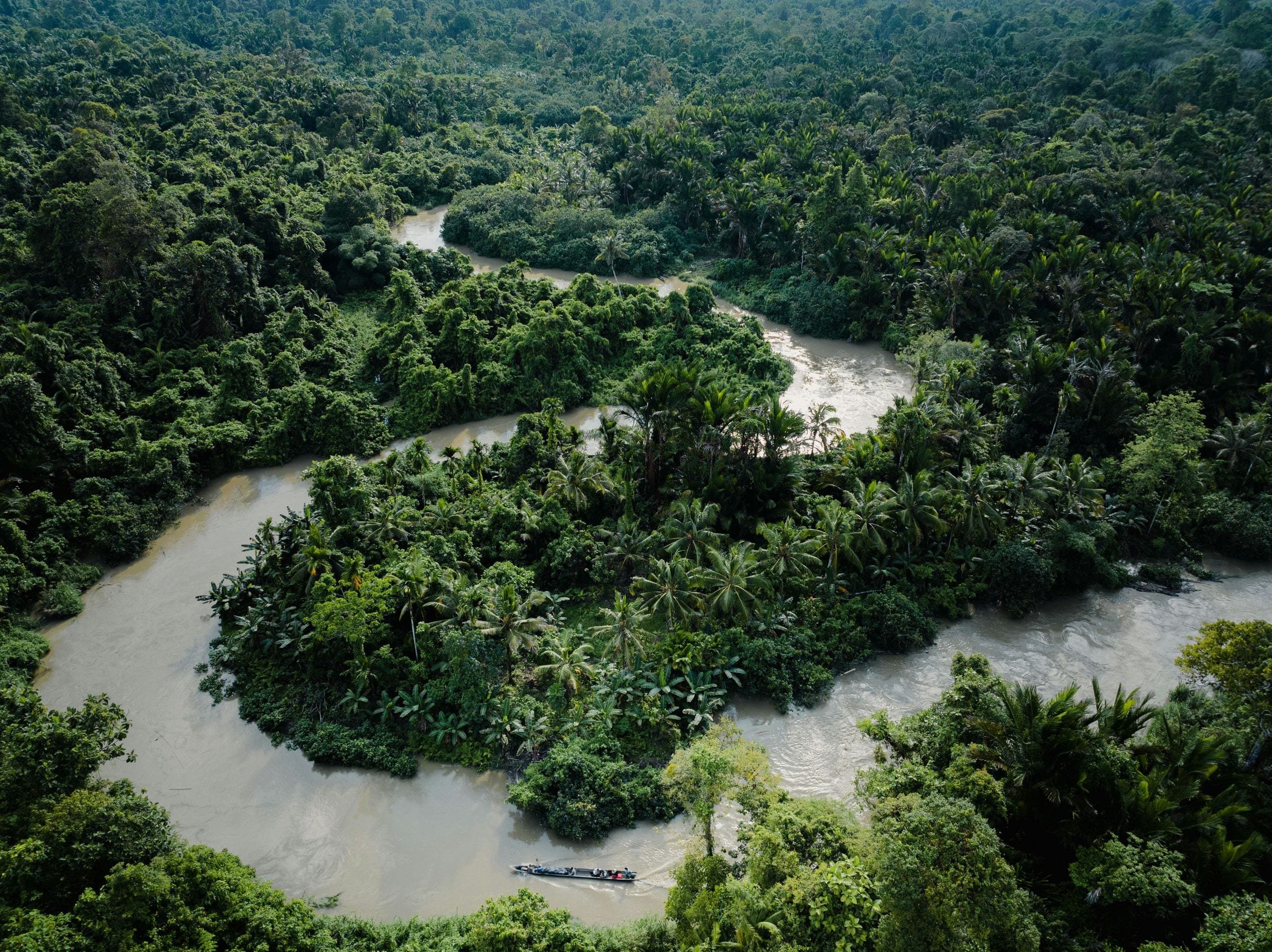 Longboat navigating a muddy river bend framed by dense rainforest