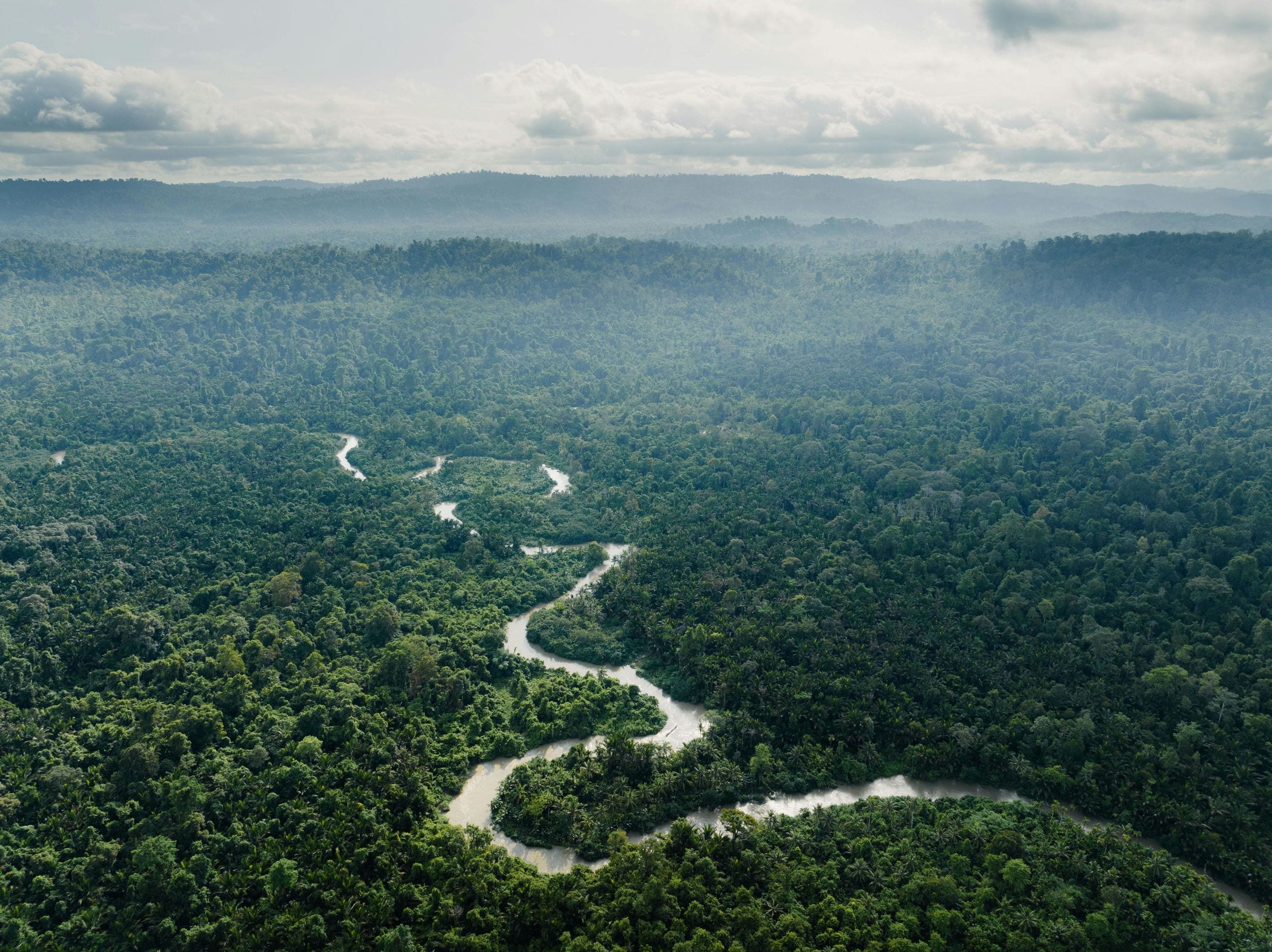 Aerial of a river winding through dense Mentawai rainforest and misty hills