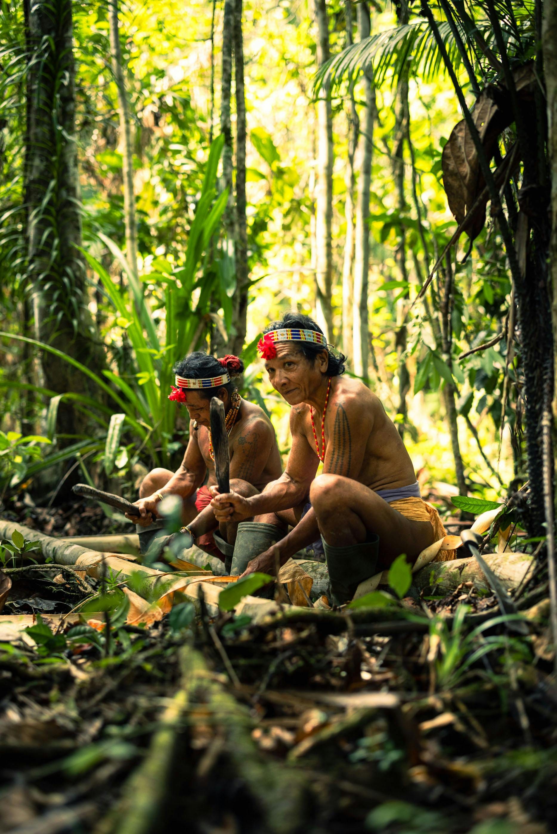 Two Mentawai men processing sago with tools on the rainforest floor