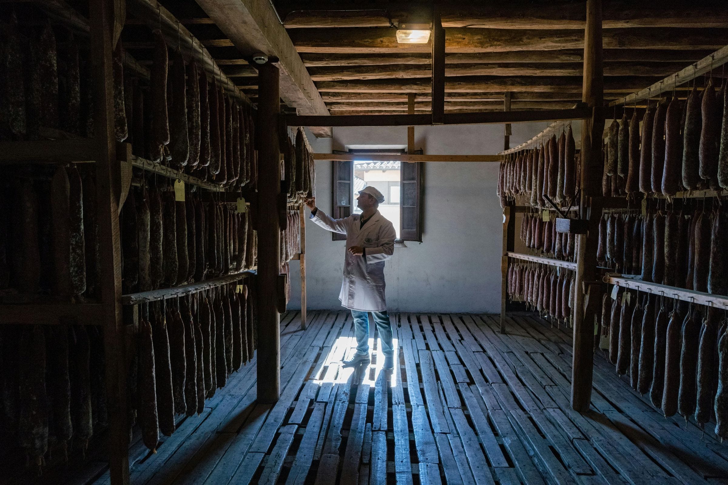 Man in a white coat inspects cured sausages hanging in a sunlit drying loft