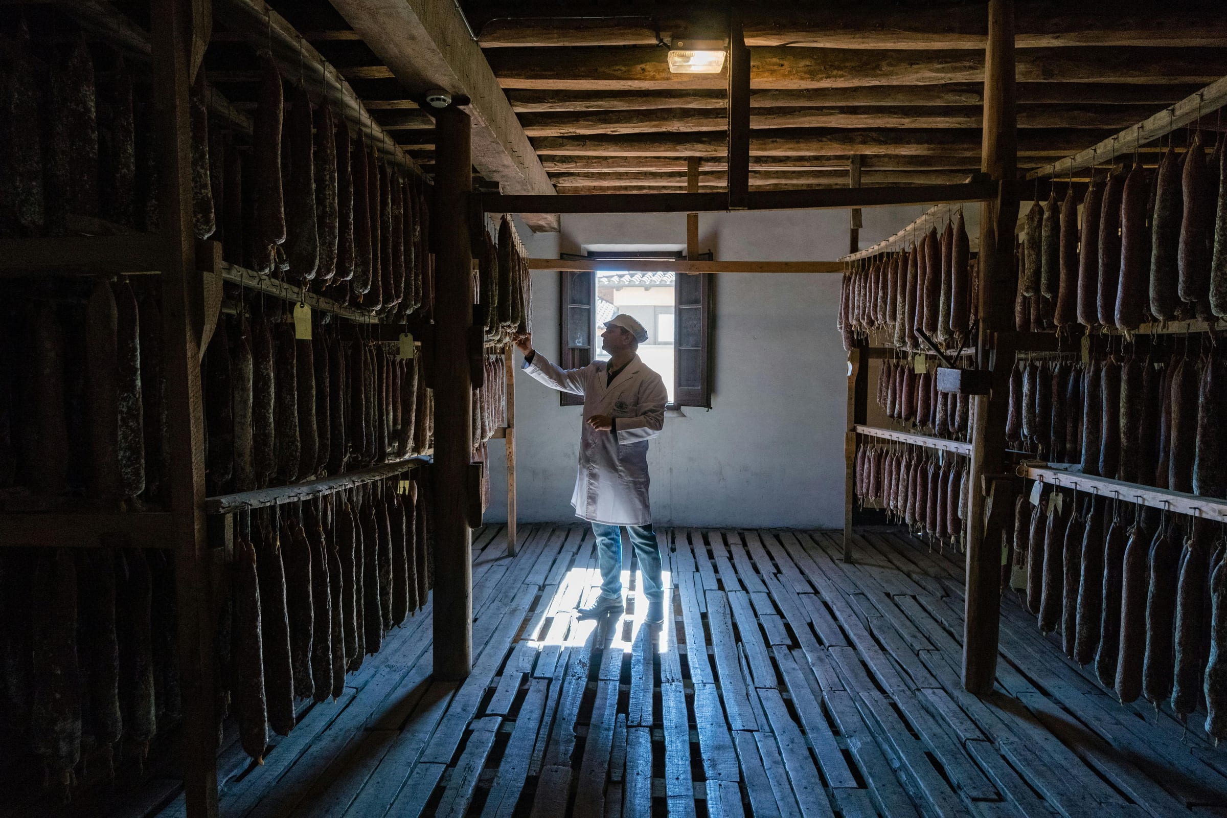 Man in a white coat inspects cured sausages hanging in a sunlit drying loft
