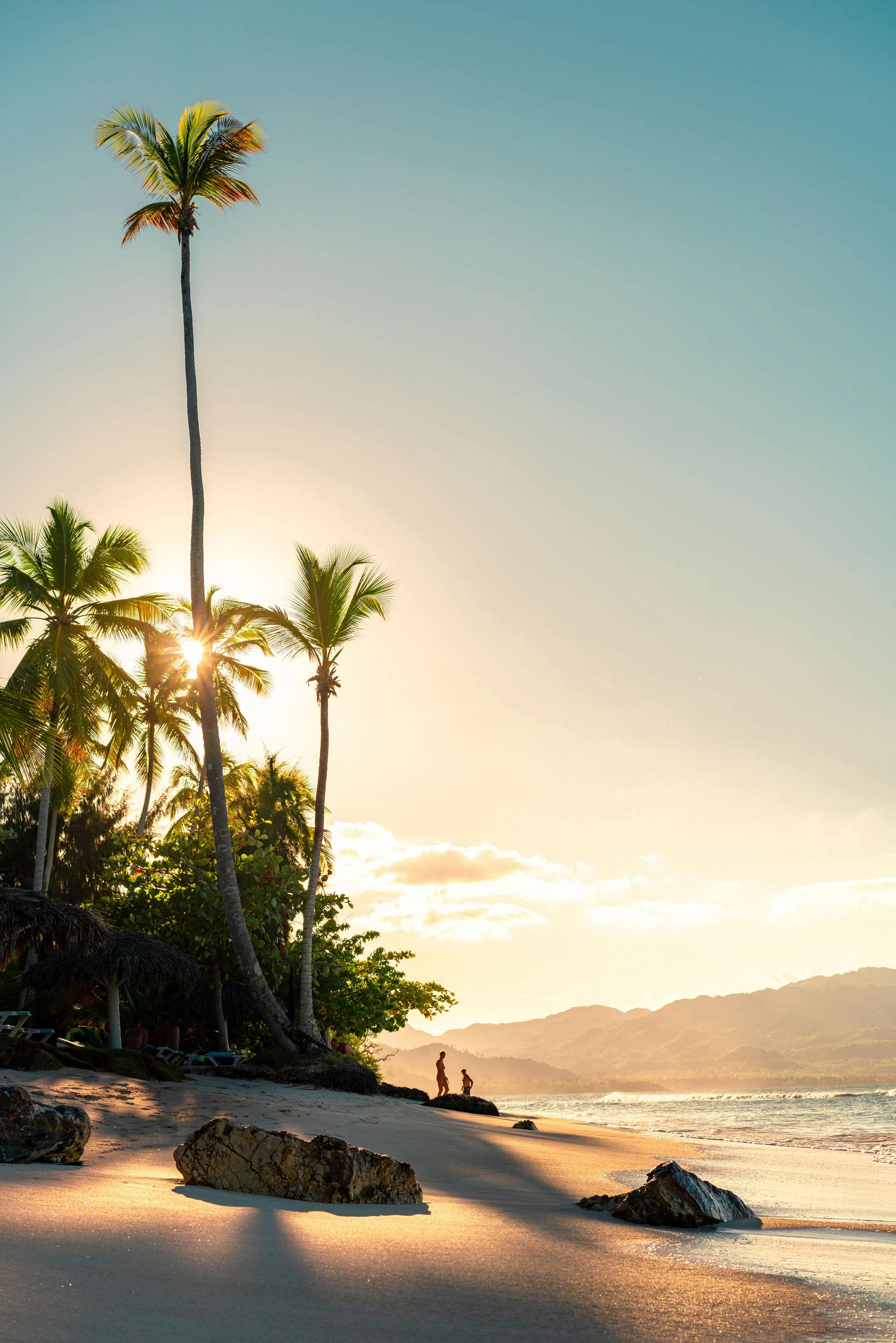 Tall palms and two figures on a Dominican beach at golden sunset