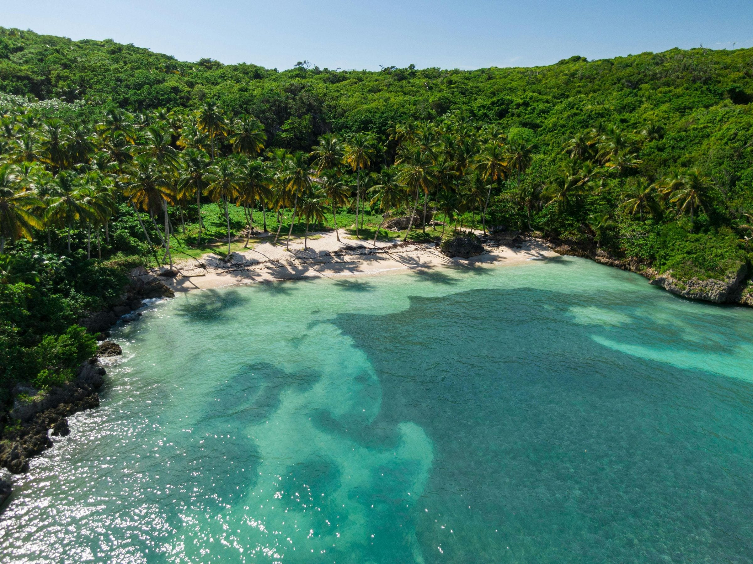 Aerial of a secluded palm-fringed cove with clear turquoise water, Dominican Republic