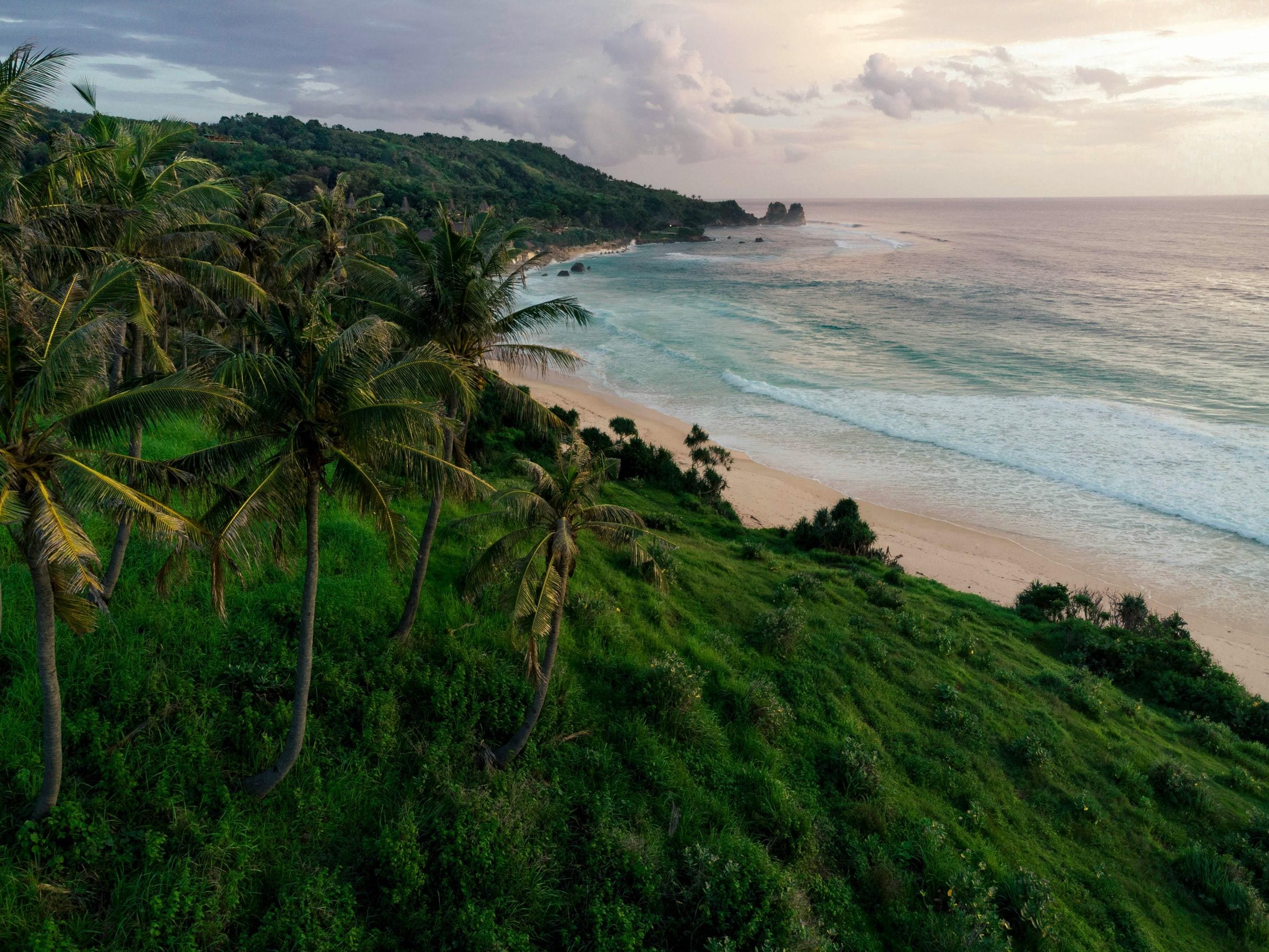 Palm-covered hillside overlooking a curving Sumba beach and bay at dusk