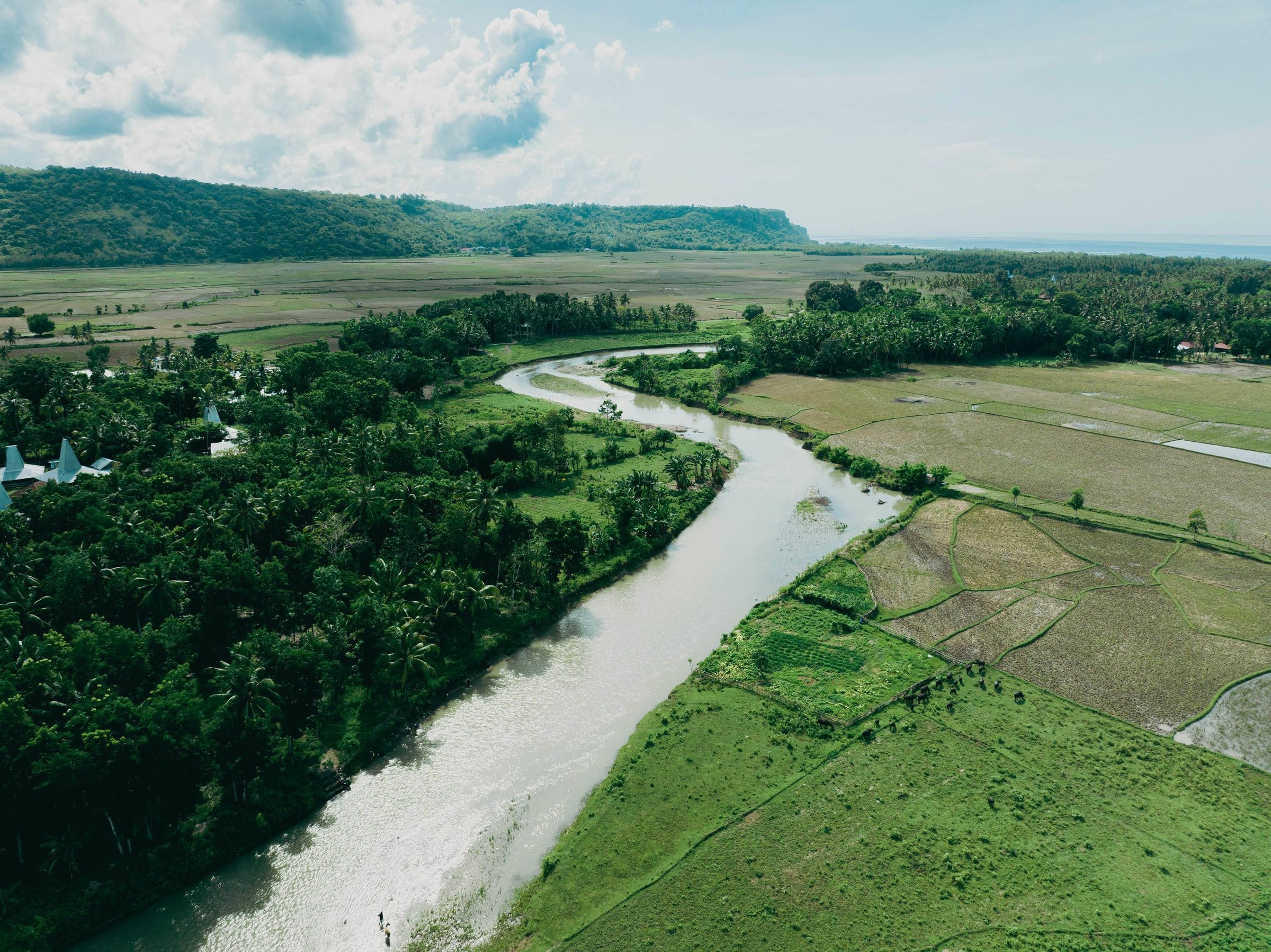 River winding through lush green rice fields toward the sea in Sumba