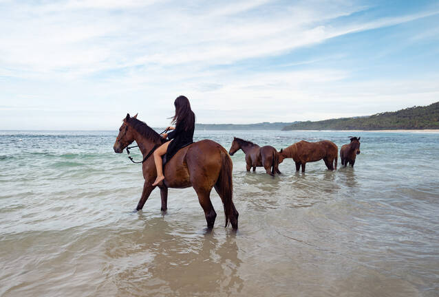 Nihi Sumba - Swimming with Horses